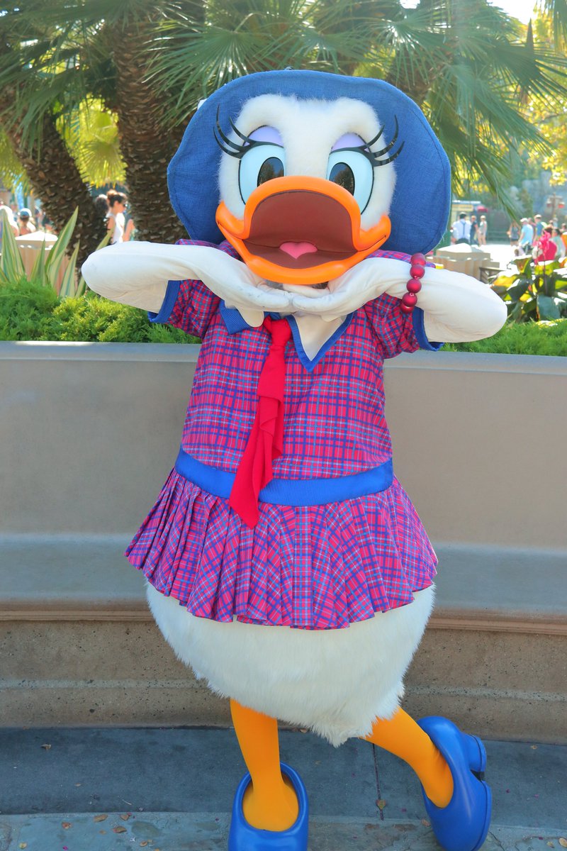 アリスワールド tweet media