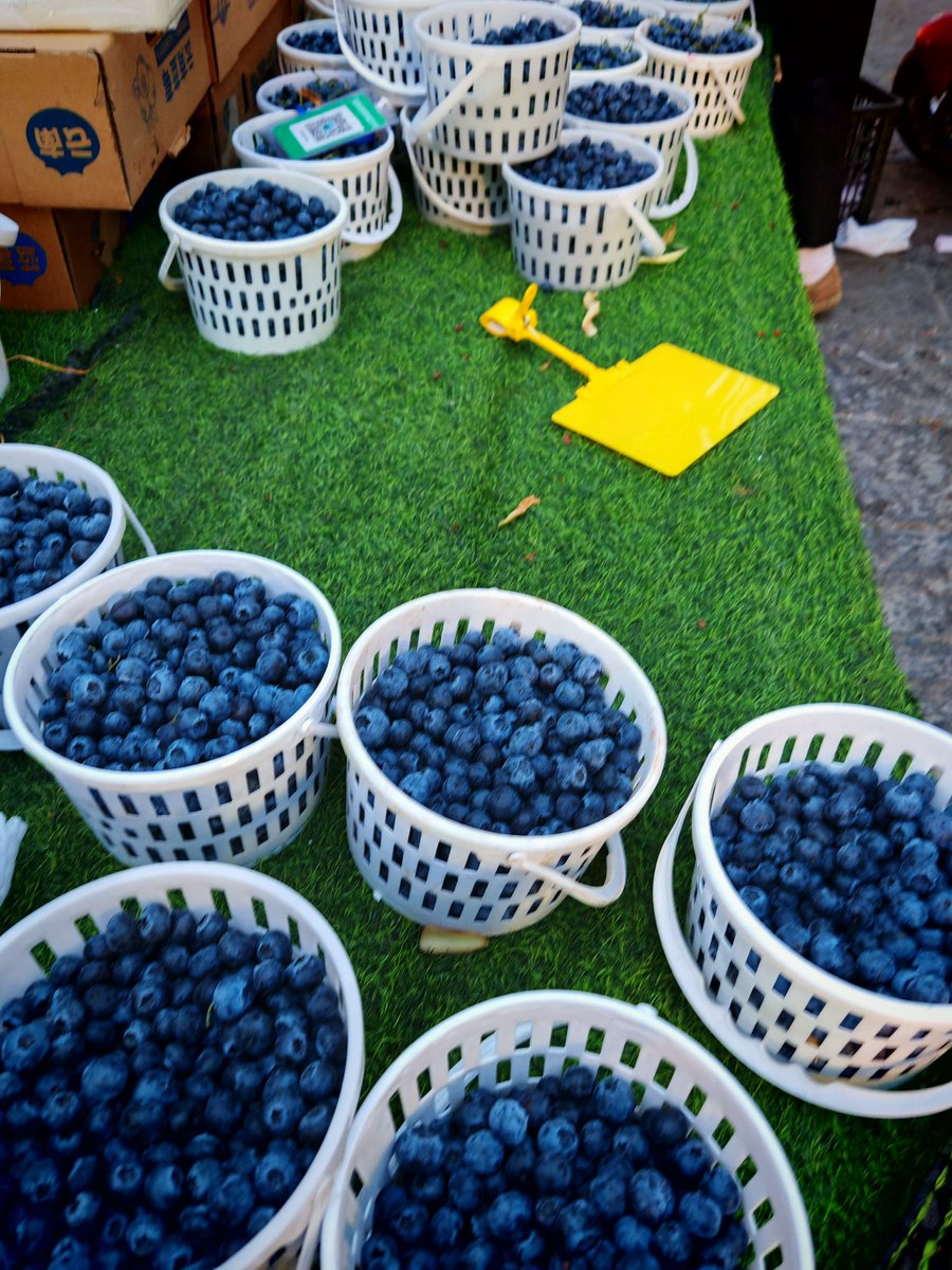 K线教主（五十大寿版） tweet media