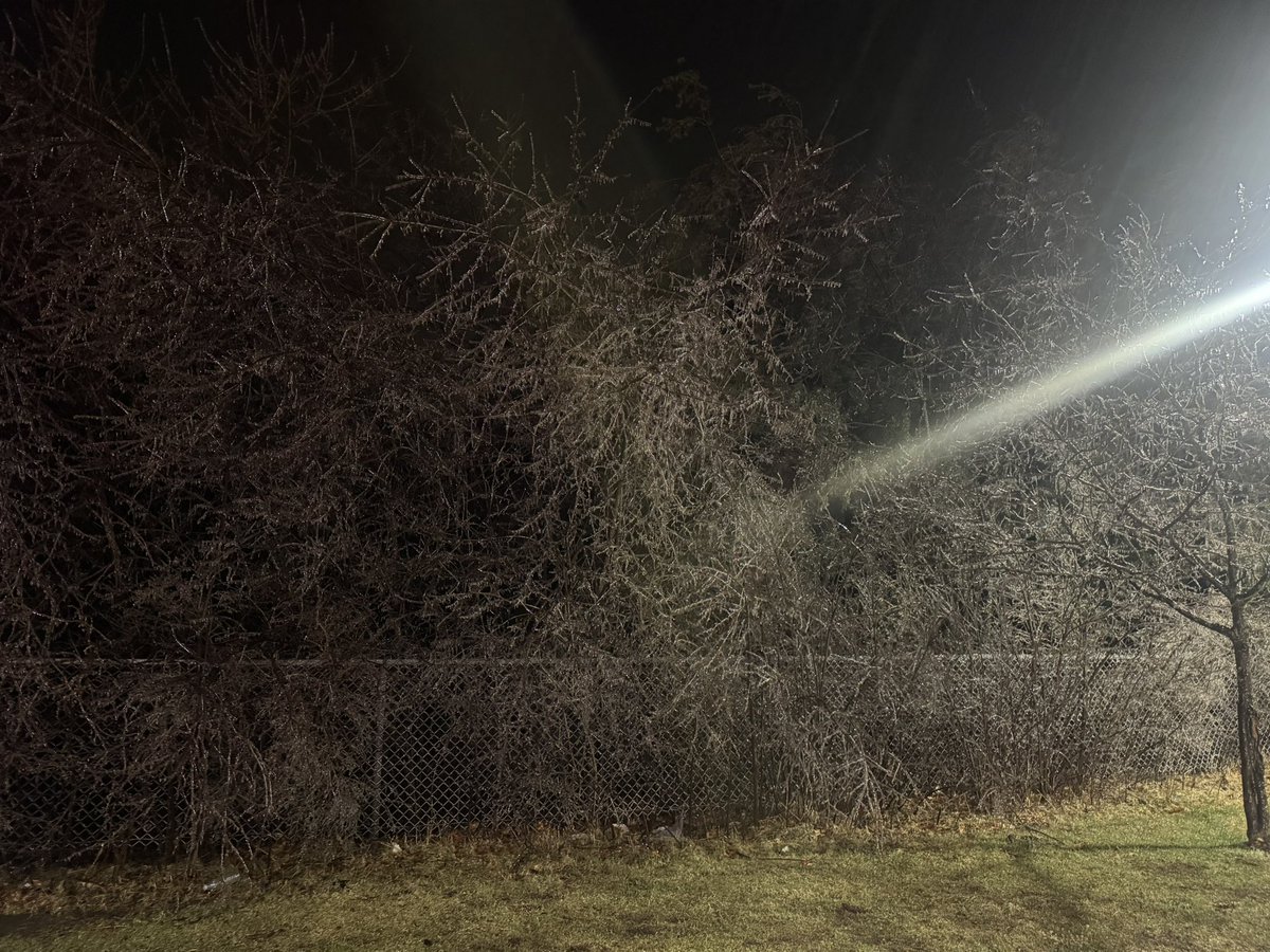 NWChasing's tweet image. Extreme ice built up in Stevens Point WI as we drive north. #icestorm #stormchasing