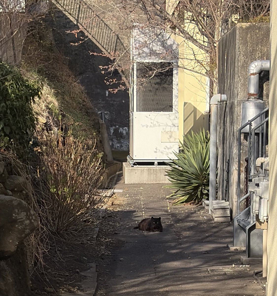 tmmkwmr (@3leoht3) on Twitter photo 