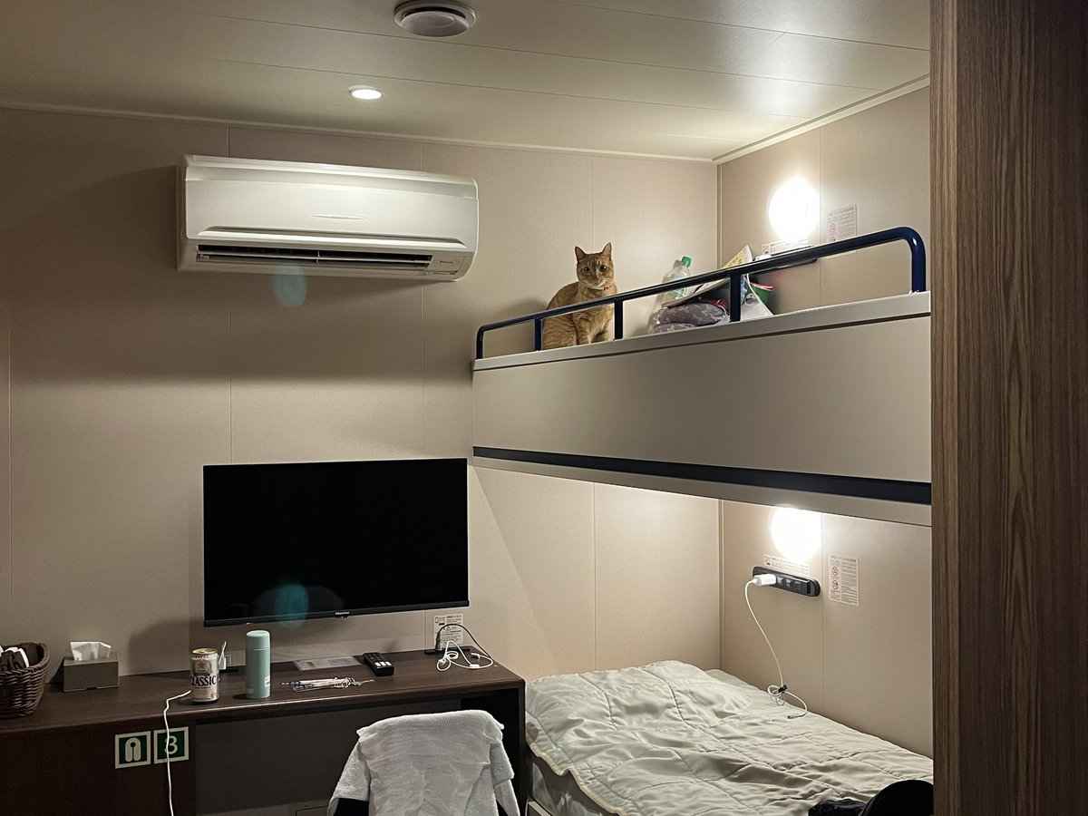 かめこ@rebel250 tweet media