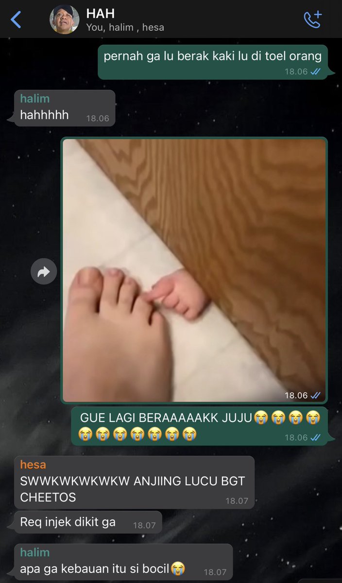 🦉🍯 tweet media