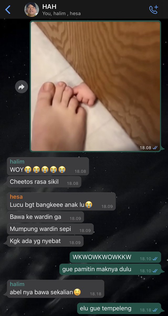 🦉🍯 tweet media