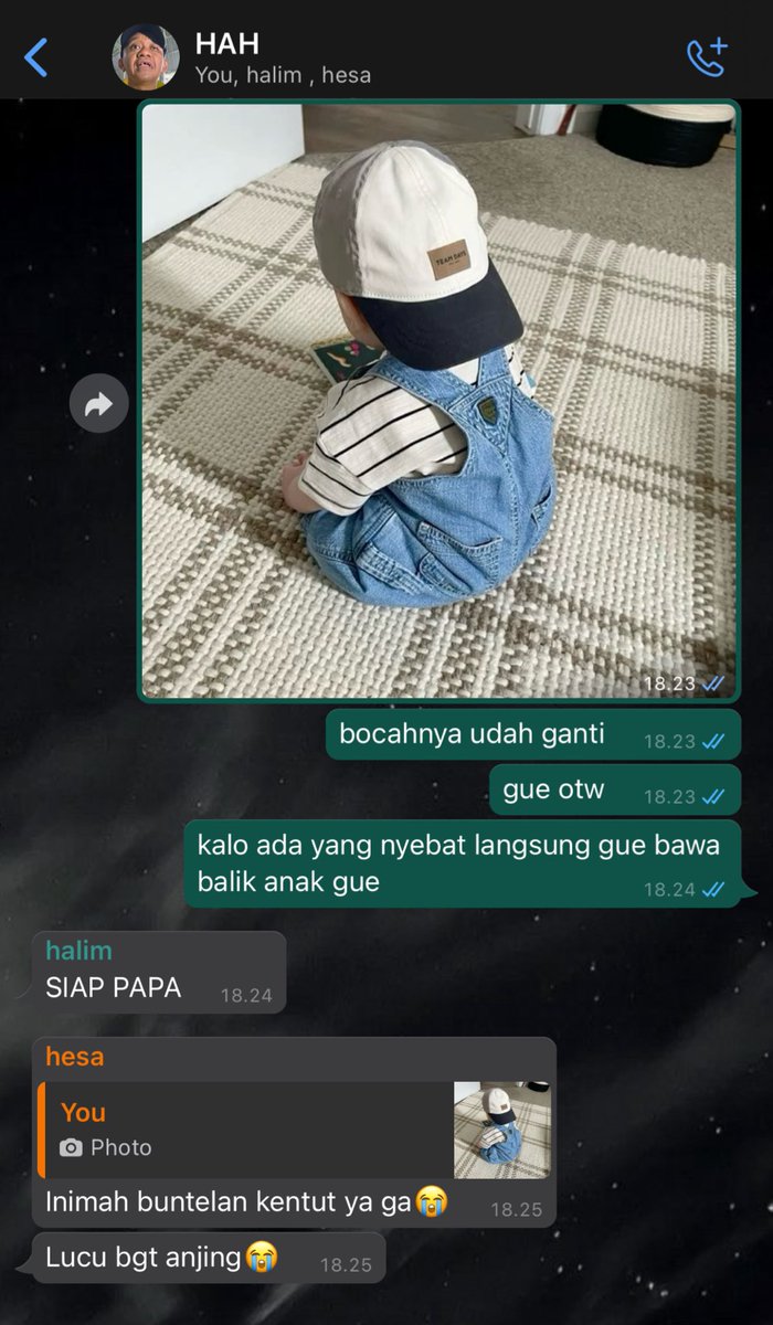 🦉🍯 tweet media