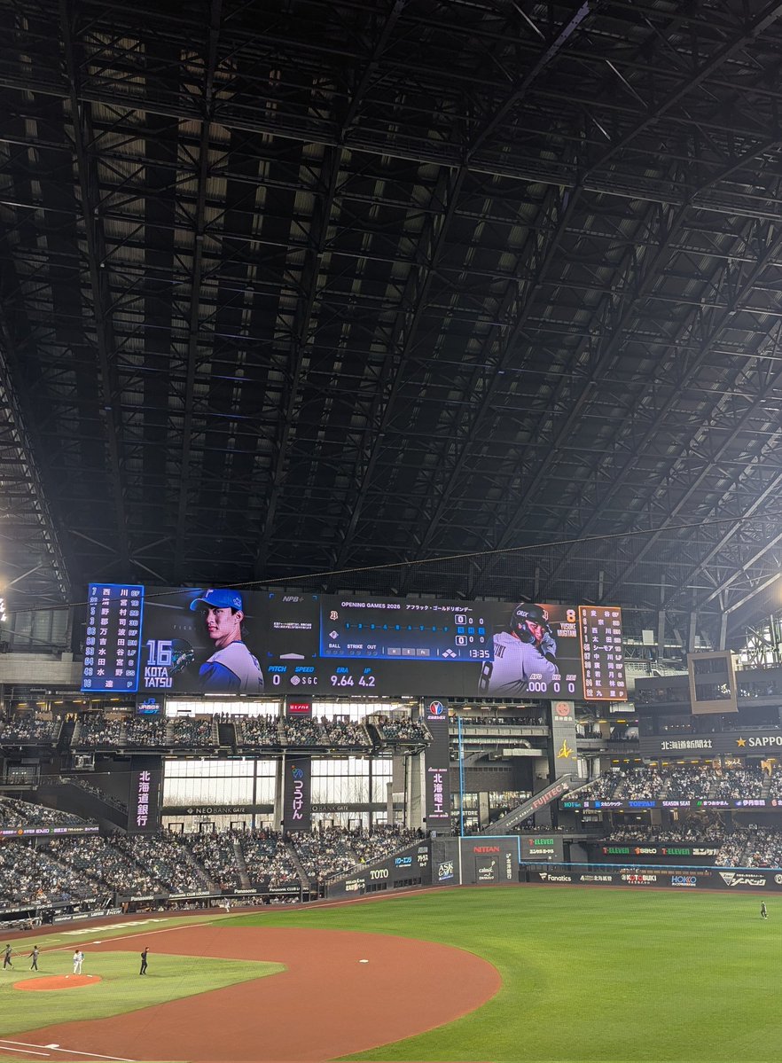 【無敵のイケメン文鳥】ブーケ🪽🌹 tweet media