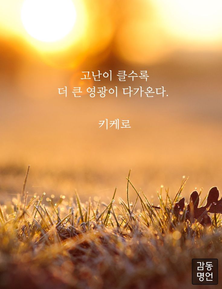 책굽는타자기 tweet media