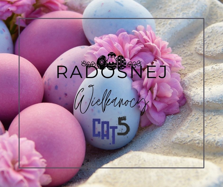 Cat5 🎮📱 tweet media