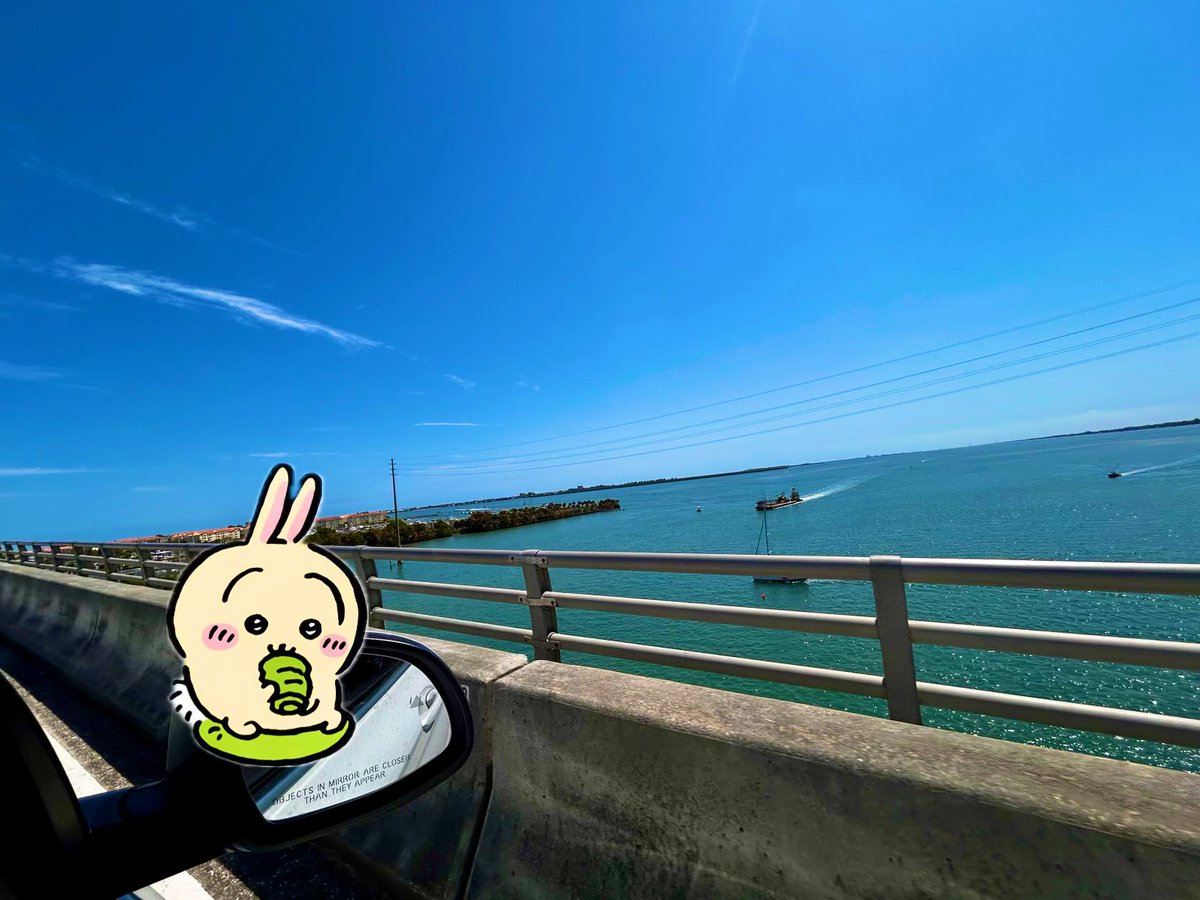 やすお tweet media