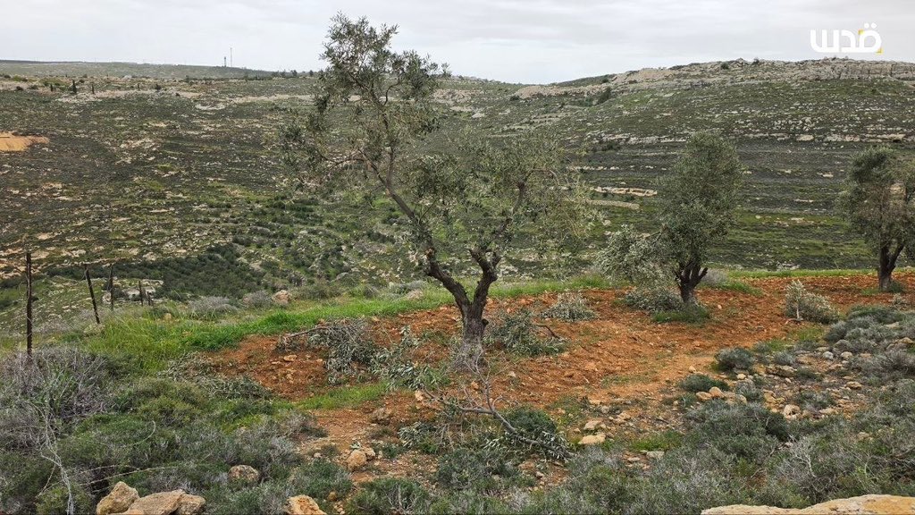 Motasem A Dalloul tweet media