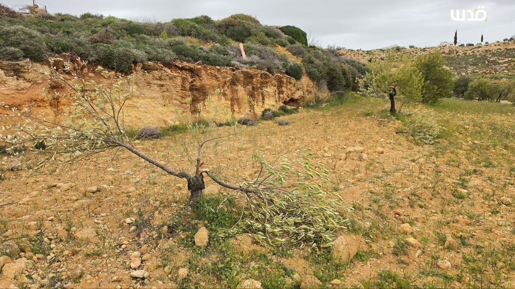 Motasem A Dalloul tweet media