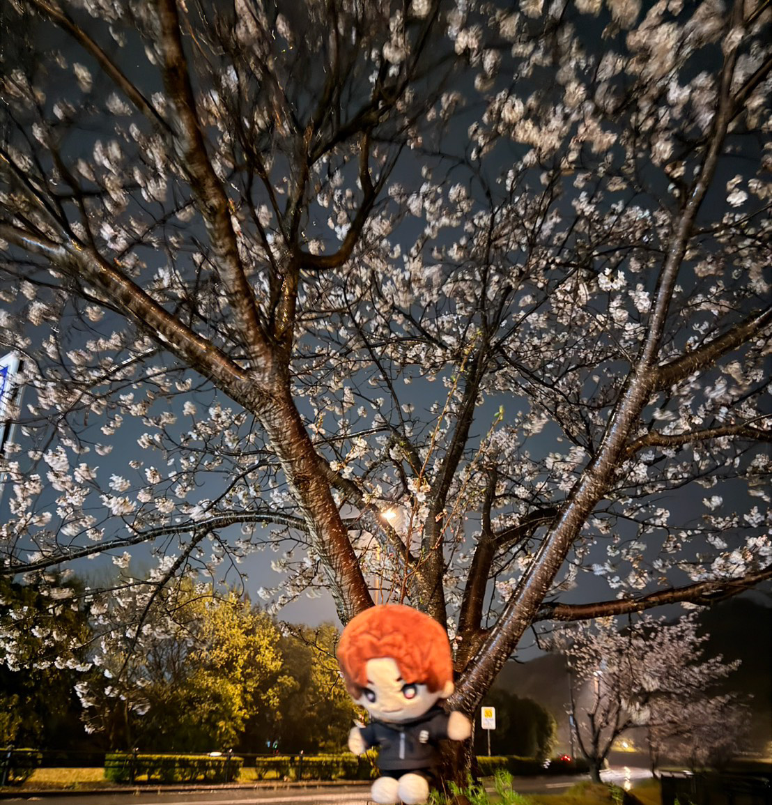 SixTONES / ソニーミュージック tweet media