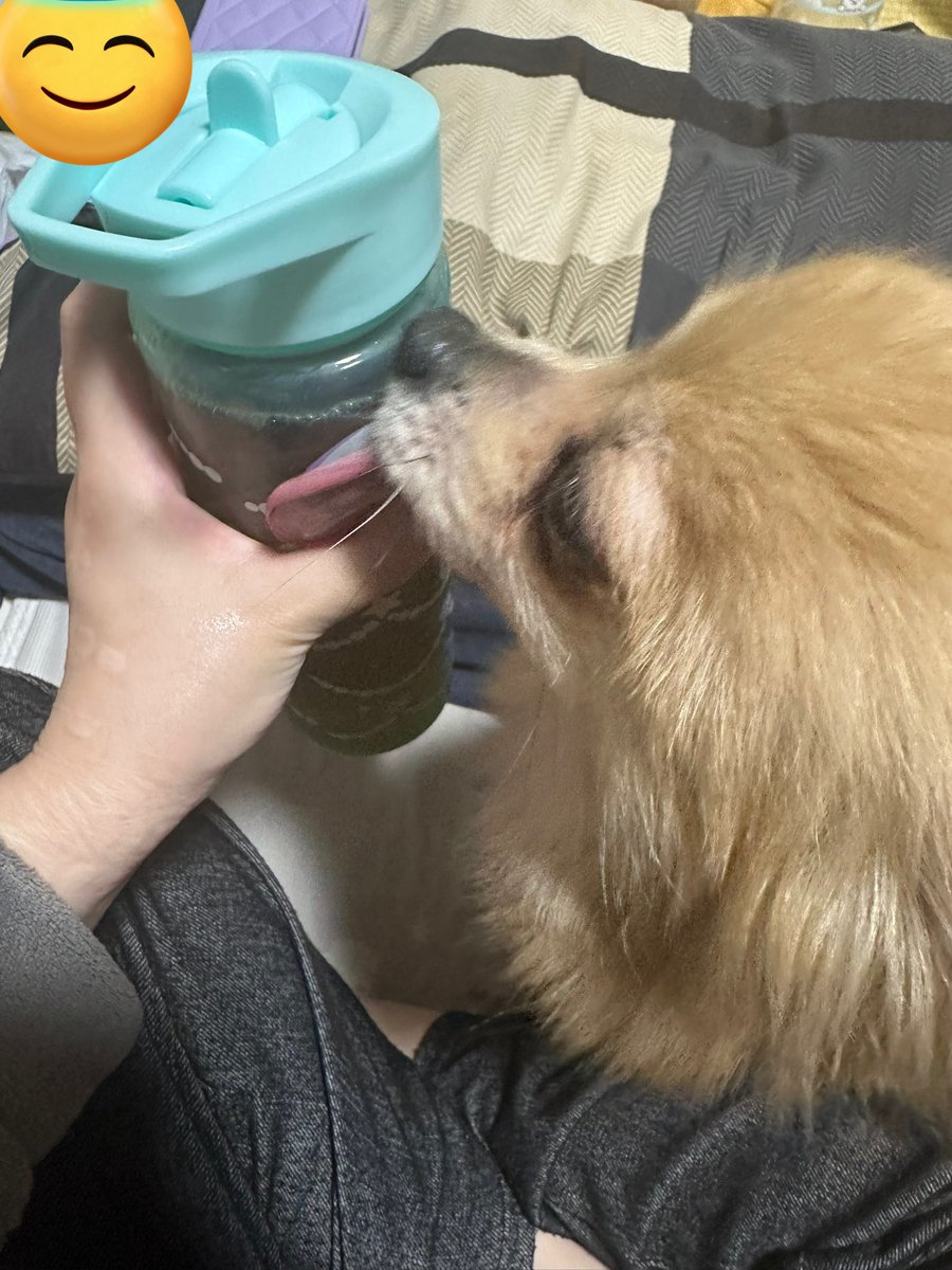 じと目( ᯣωᯣ )🩸 tweet media