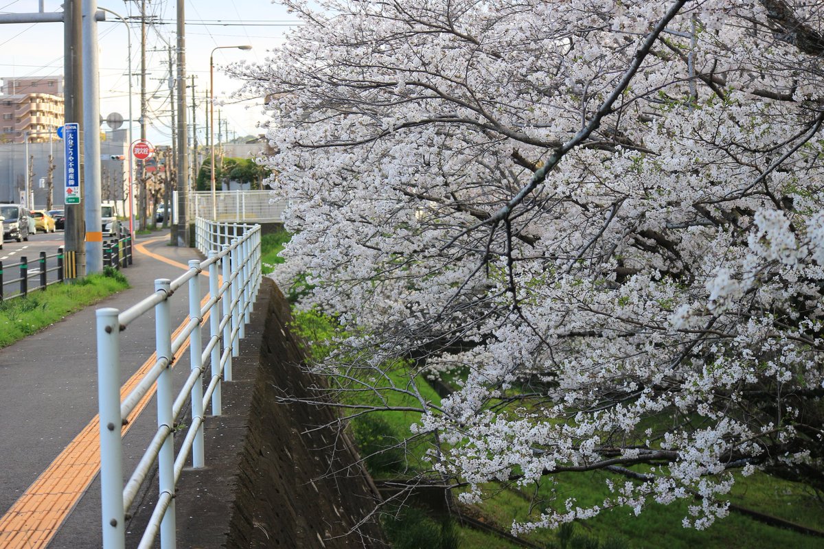 藤内 勝海 tweet media