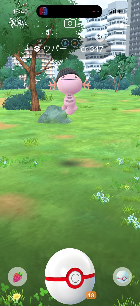 flash_minon's tweet photo. ファッションレイド
収穫これ🥺🥺
チラーミィの色違いほしかった
#ポケモンGO
#ポケモンGO色違い https://t.co/OR1k3Xm3nE
