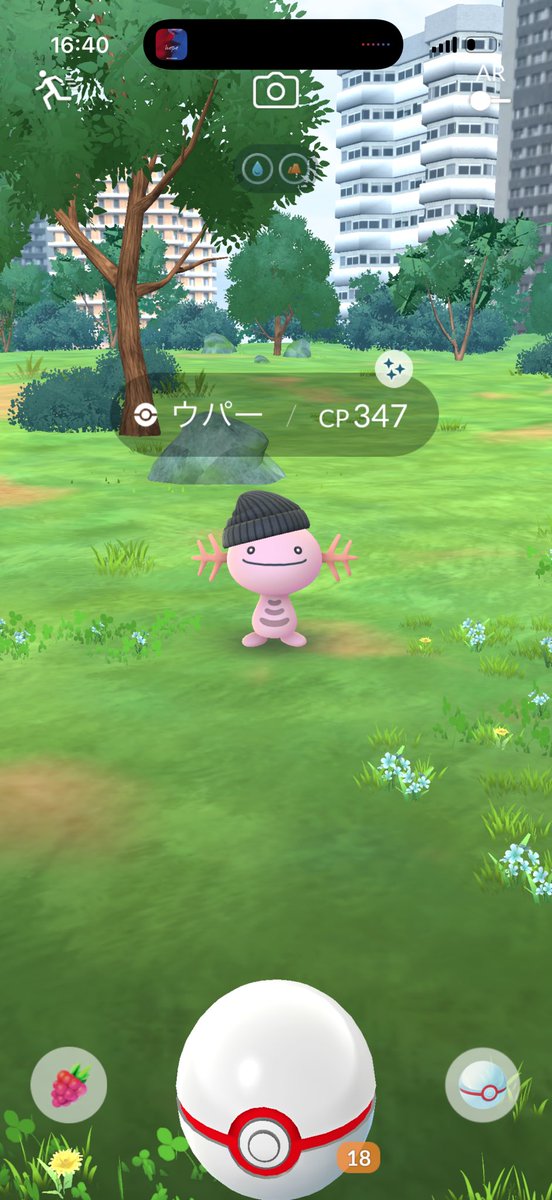 flash_minon's tweet photo. ファッションレイド
収穫これ🥺🥺
チラーミィの色違いほしかった
#ポケモンGO
#ポケモンGO色違い https://t.co/OR1k3Xm3nE