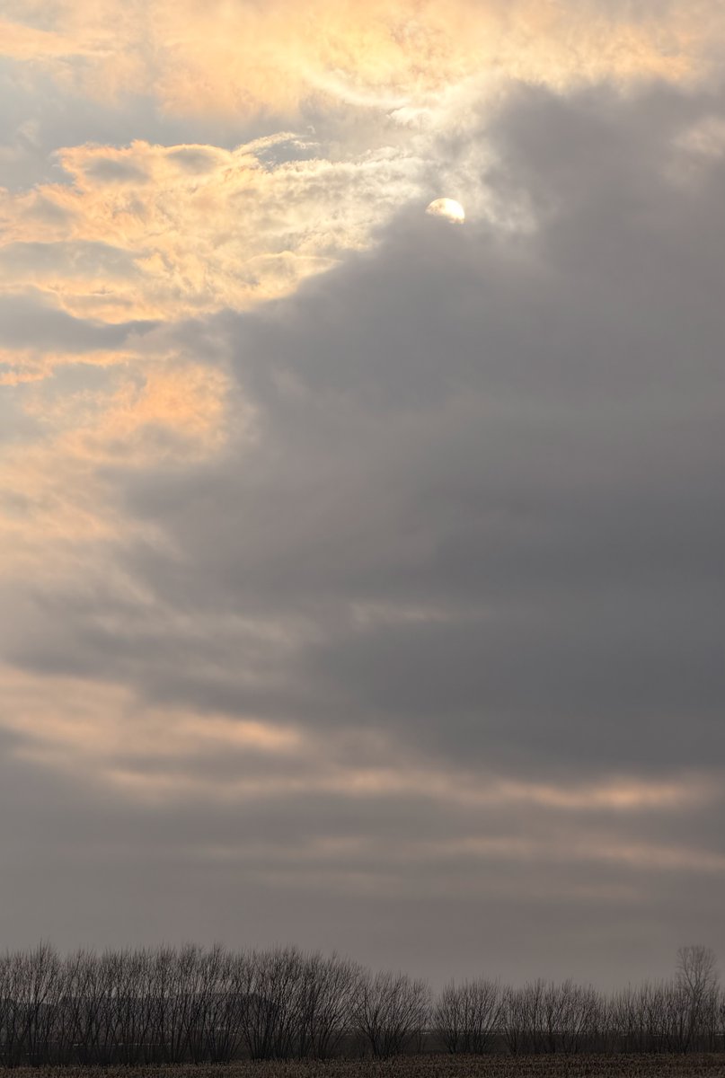 Danielle Bellemare tweet media