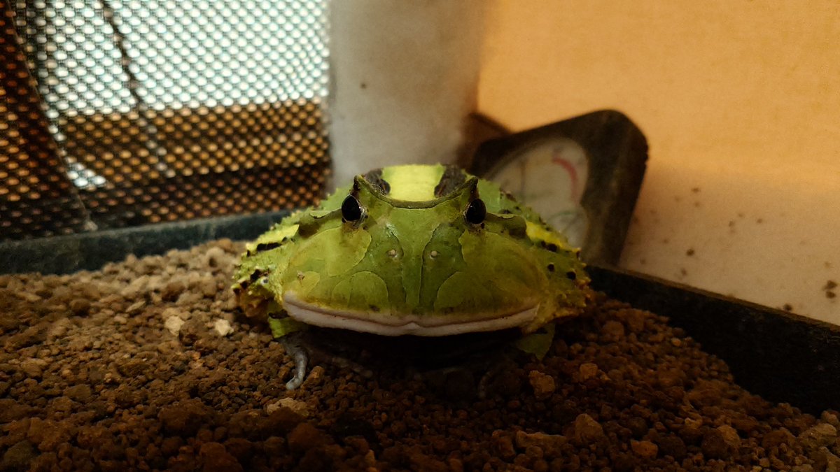 落ち着きました？