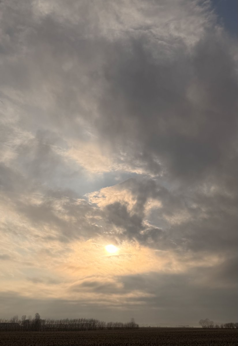 Danielle Bellemare tweet media