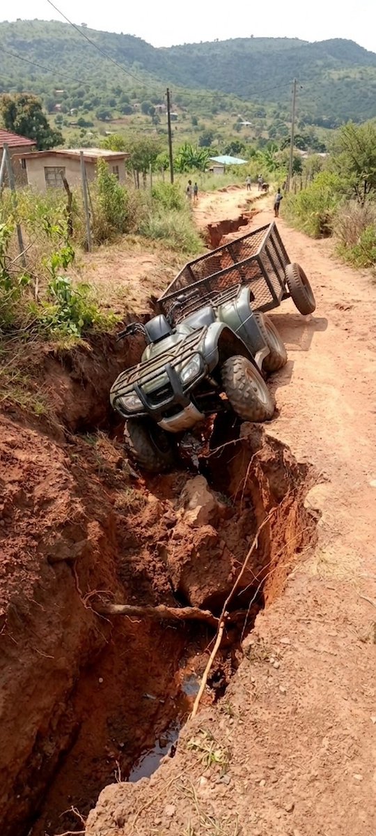 Artist TREVOR🇿🇦 tweet media