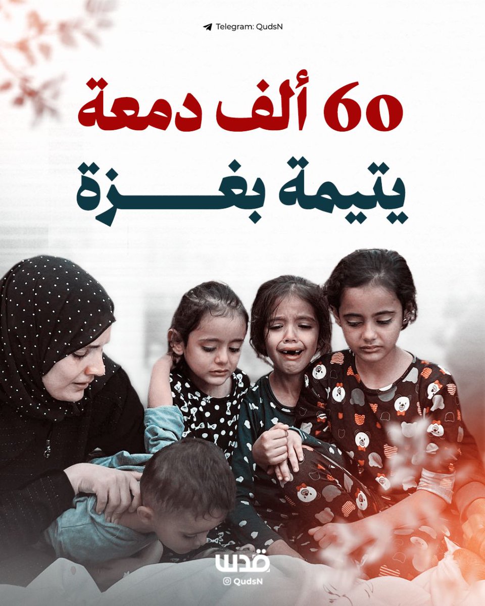 شبكة قدس الإخبارية tweet media