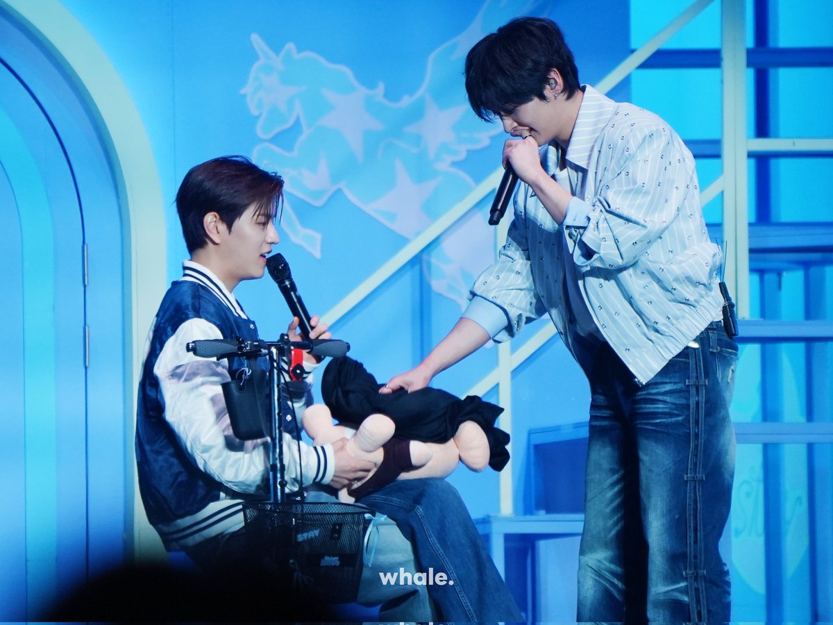 𝙬𝙝𝙖𝙡𝙚. tweet media