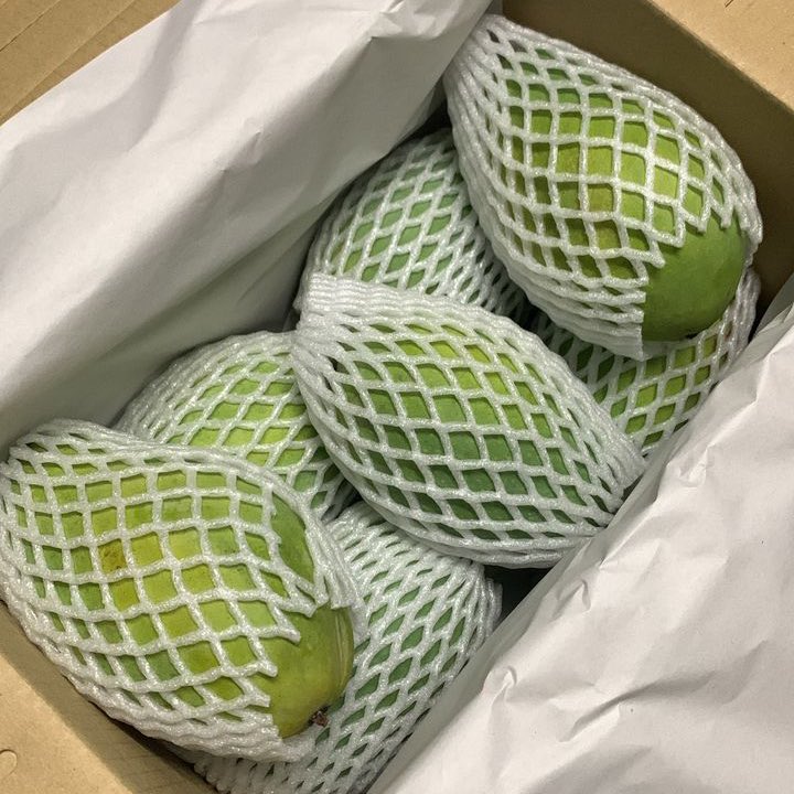 Tatty H. tweet media