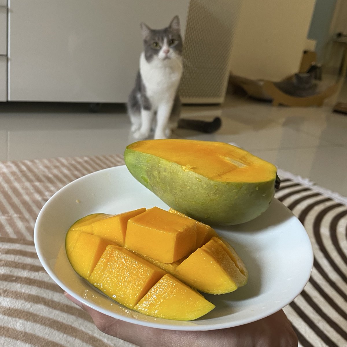 Tatty H. tweet media