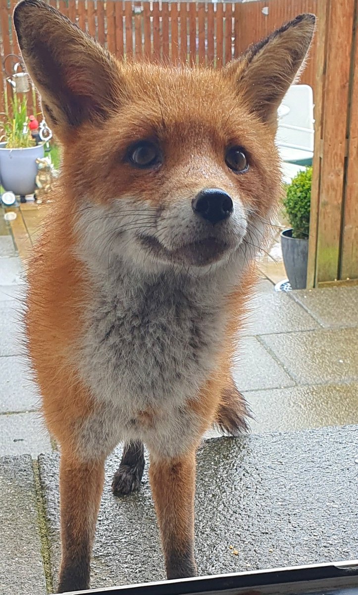 Siobhean 🖤 tweet media