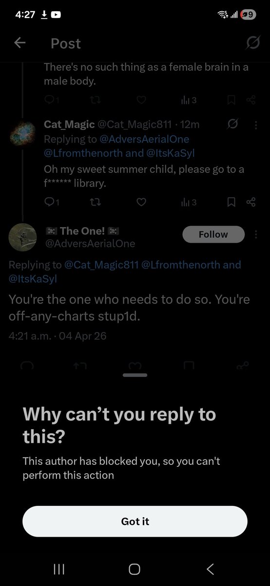 Cat_Magic tweet media