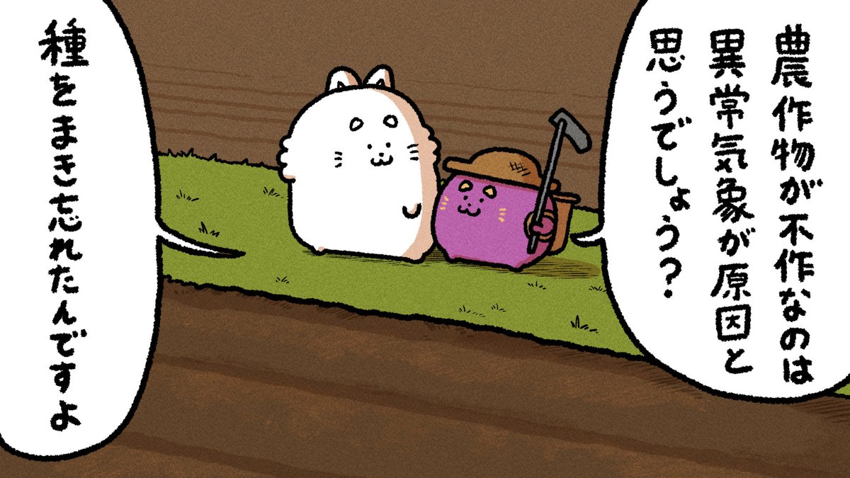 よいこのバニポテ tweet media