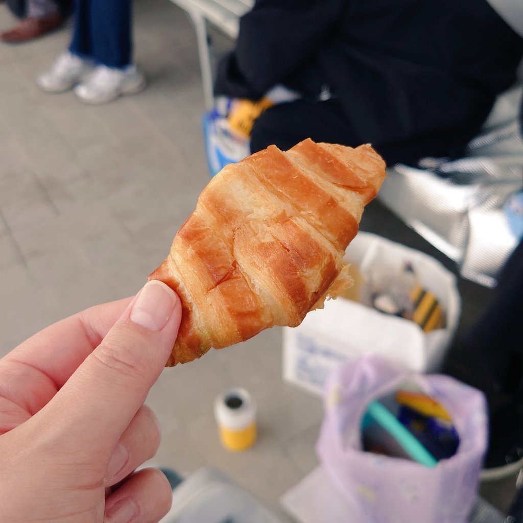 まめごはん🫛🍥 tweet media