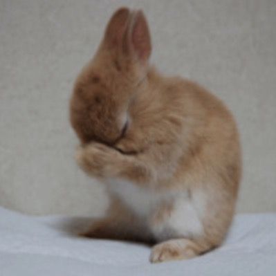 ✮⋆˙ klara ˙⋆✮ tweet media