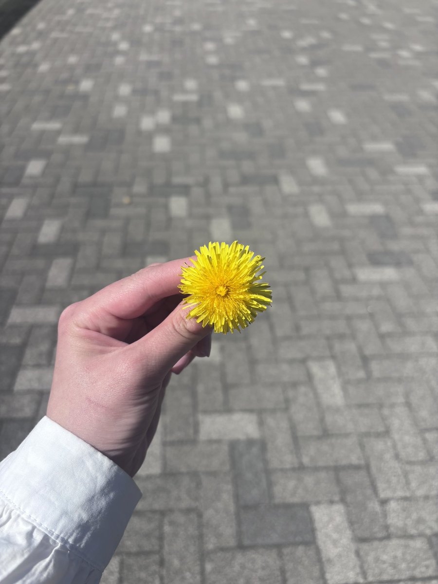 そらのそらもよう tweet media