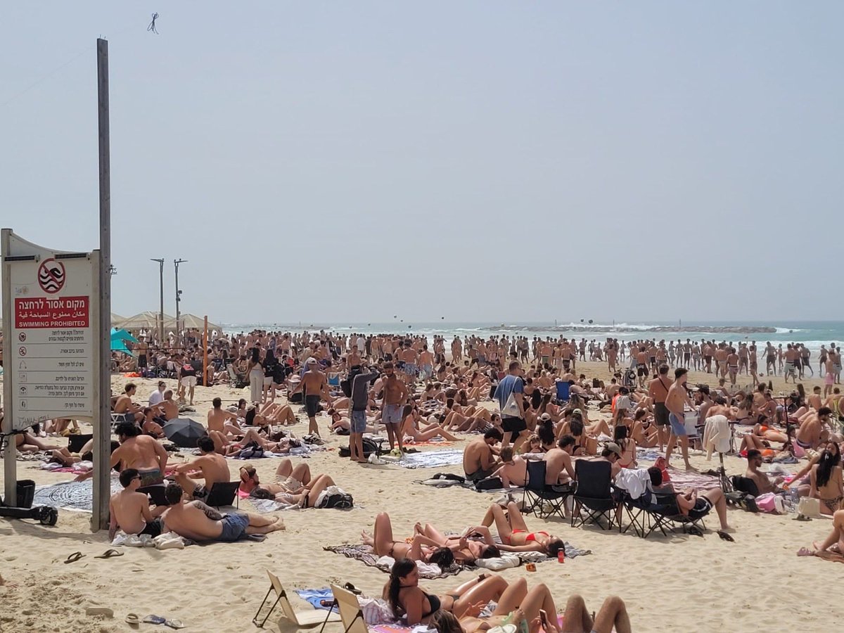 מטה המאבק הדמוקרטי הרצליה tweet media