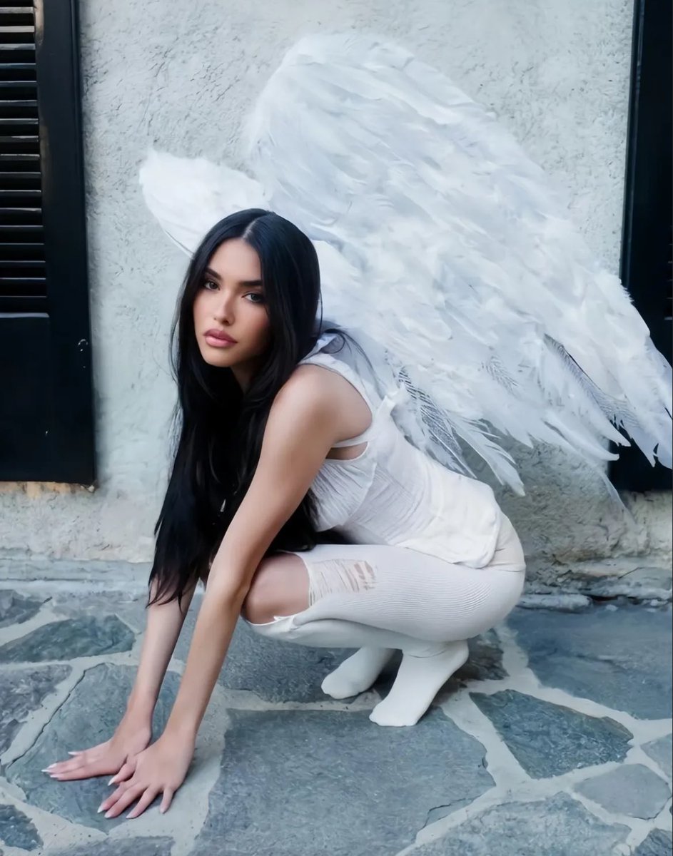 soph ౨ৎ 𑣿 tweet media