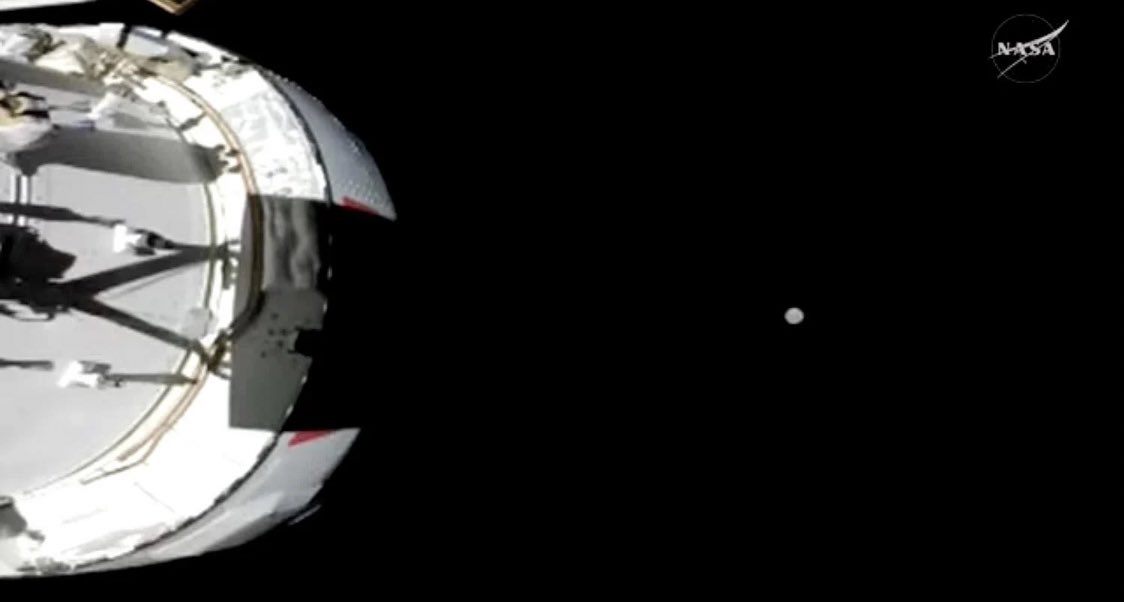 Antonio Sabato Jr tweet media