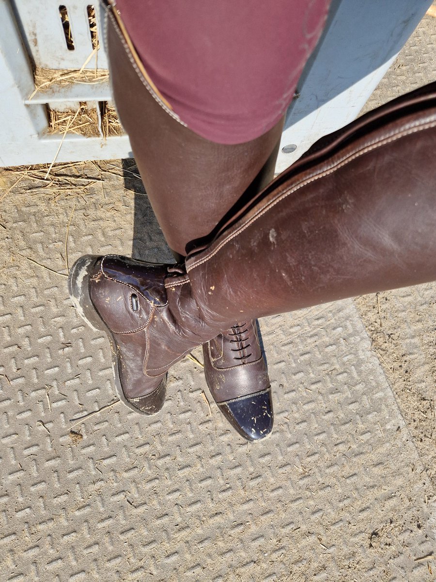 👸sunsparkle🌞Fee🎁 tweet media