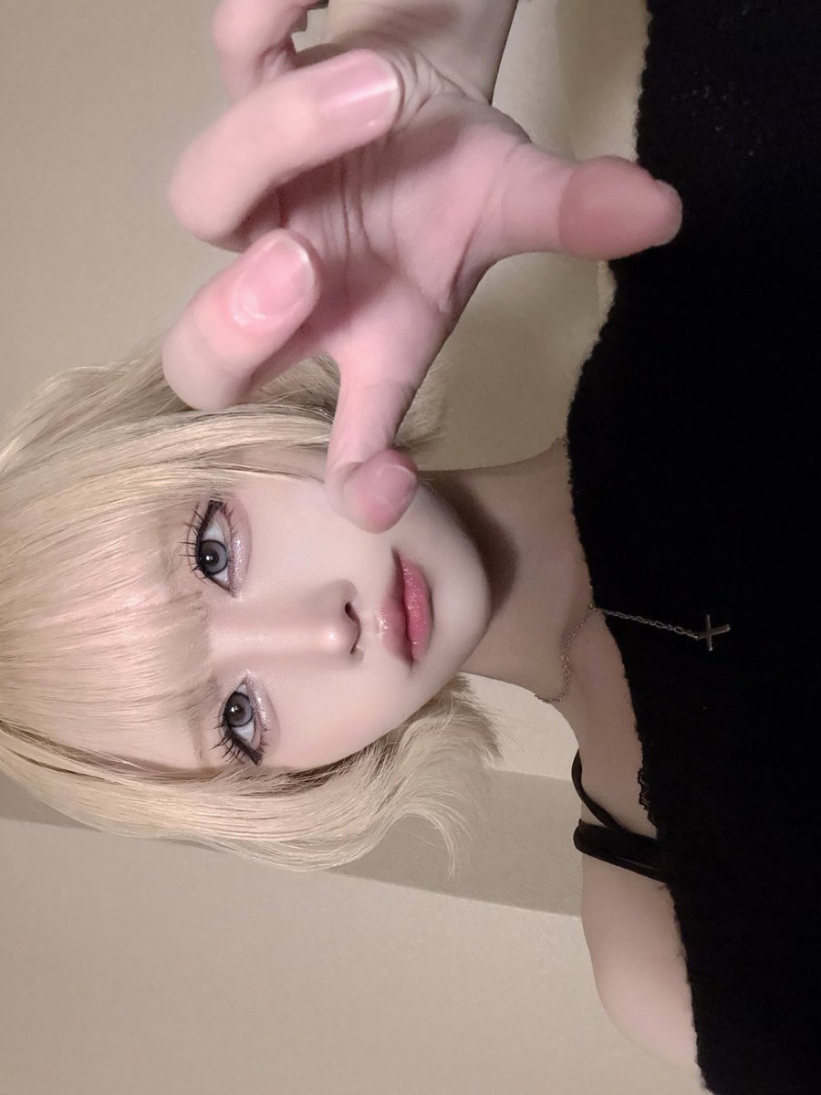 ALM【シュレ犬】 tweet media