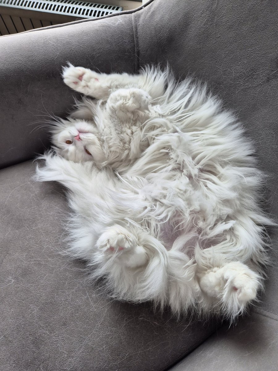 Emekli C.Savcısı Mehmet Demir tweet media