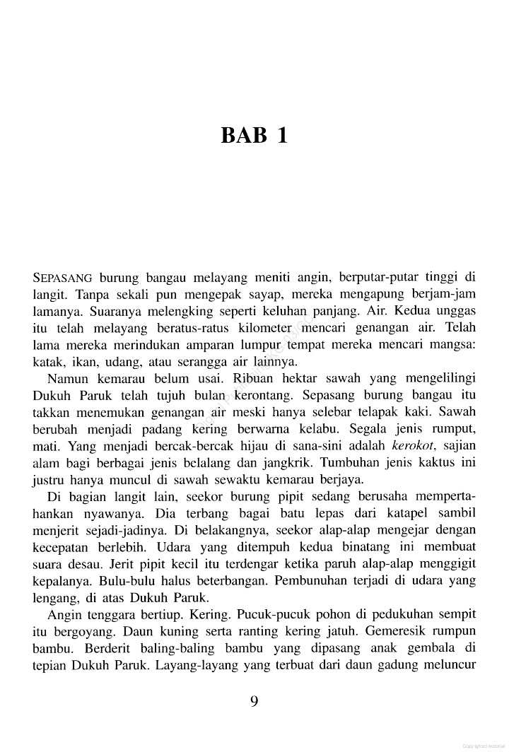 Aisa! ★ tweet media