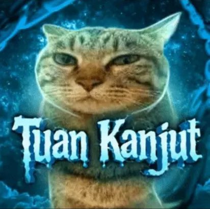 🌷PRINCESS CHLOE 💫 tweet media