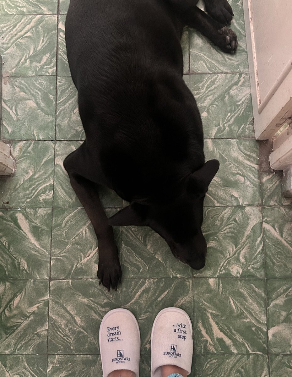 Elena 🌙 tweet media