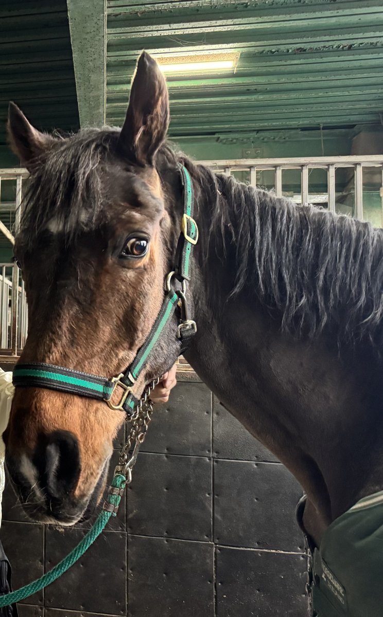 AKAcassius（カヤwithカシアス） tweet media