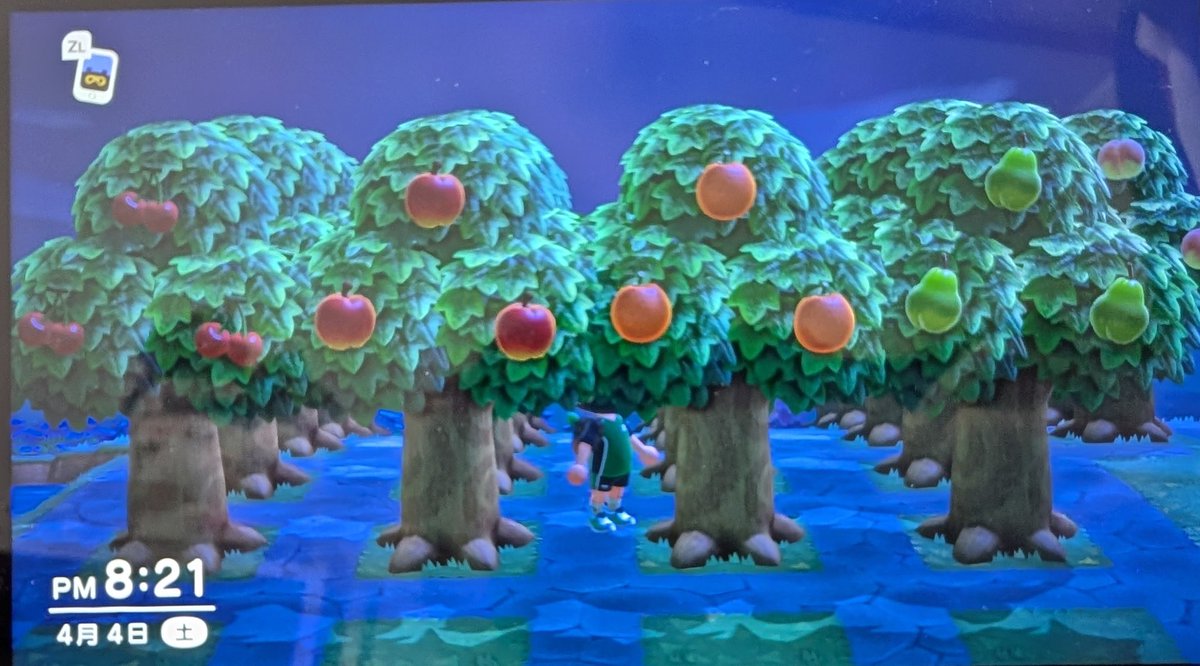 ちゃま tweet media