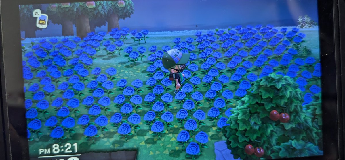 ちゃま tweet media