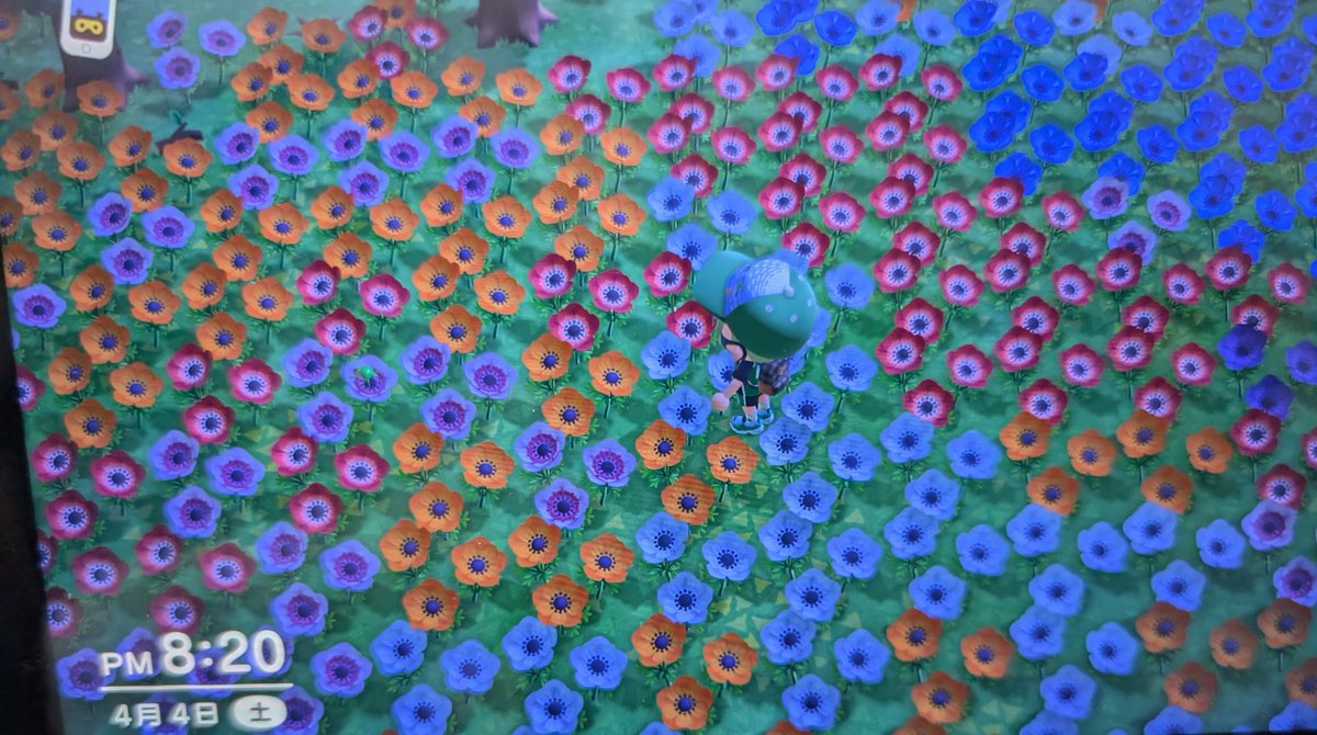 ちゃま tweet media