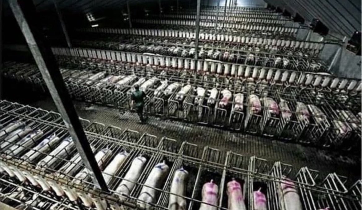 NothingIsArt tweet media