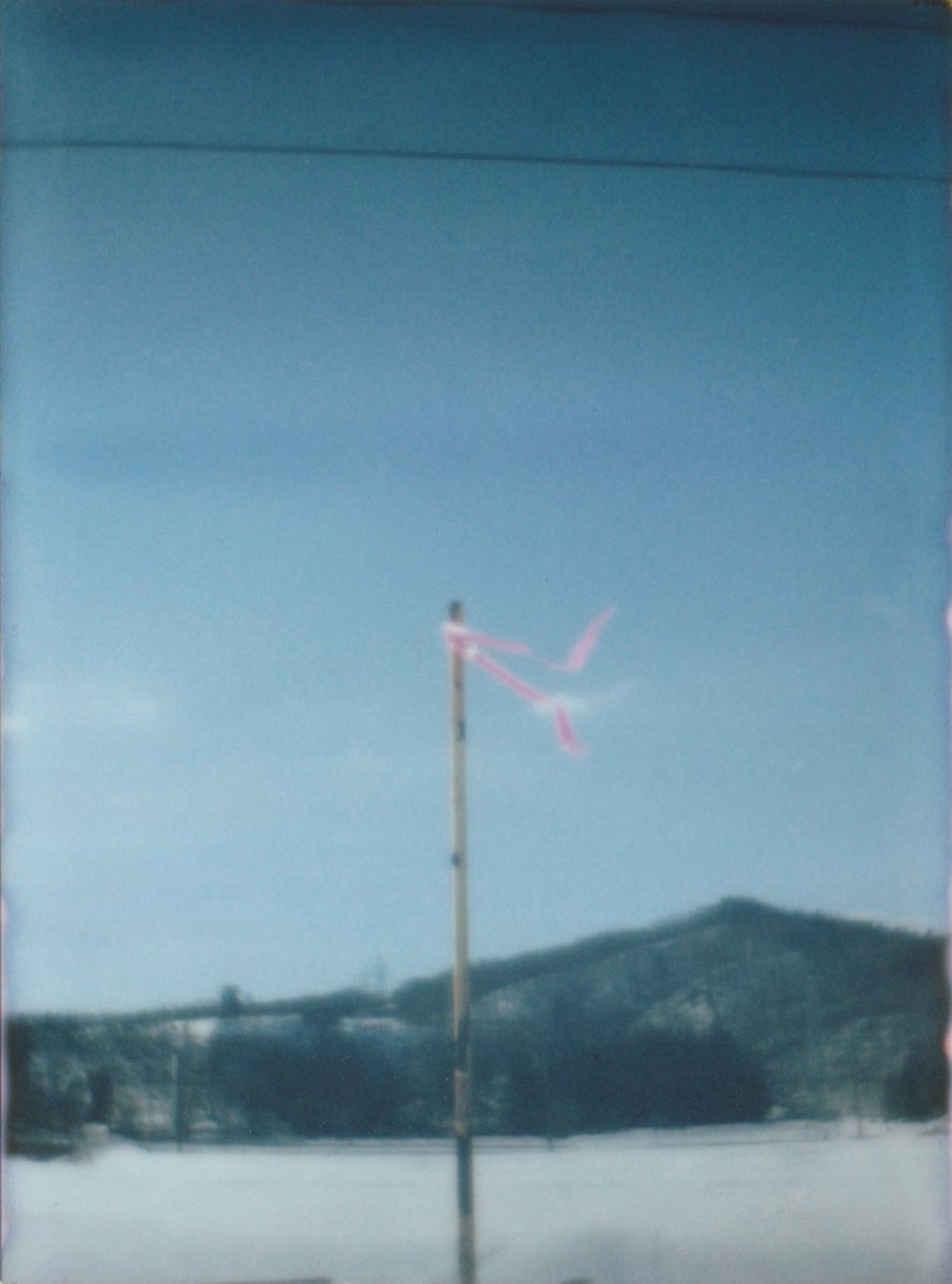 尾瀬四郎 tweet media