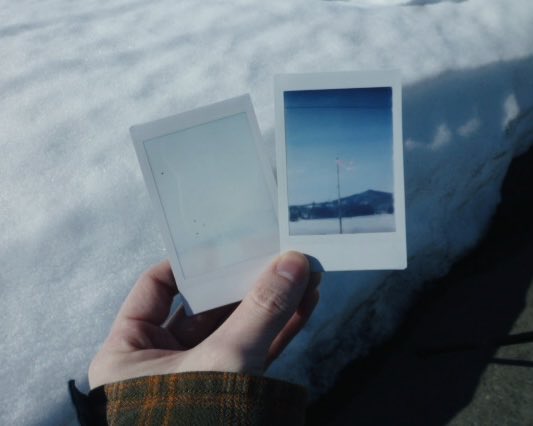 尾瀬四郎 tweet media