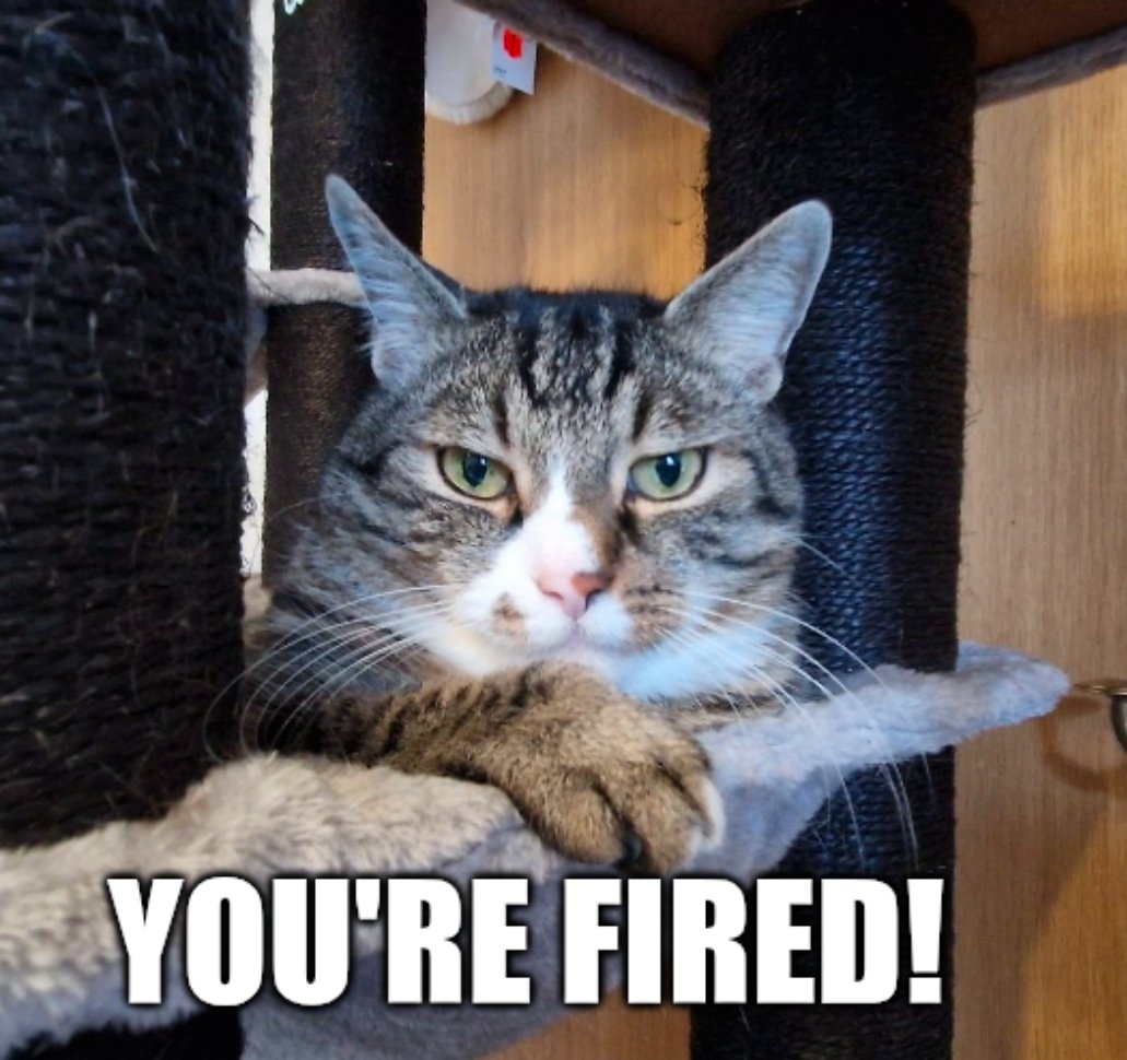 A_M_Berger_'s tweet image. 